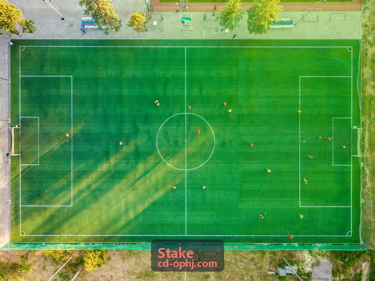 Stake 关键决策视觉隐喻